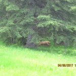 IMG_2679