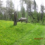 IMG_2692