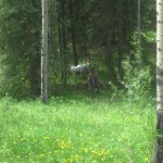 IMG_2694