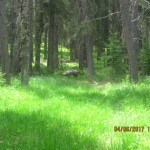 IMG_2695
