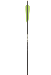 ALUMINUM ARROW