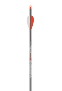 MUTINY ARROW