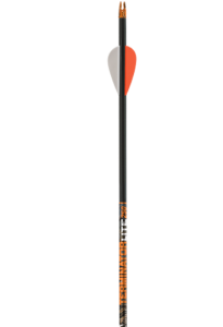 Terminator lite