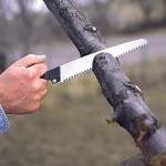 Saw in use