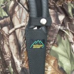 Shear sheath 1