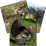 wildlife_game_se_4c179d95d039e