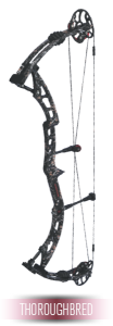Compound-Bow-THOROUGHBRED-2